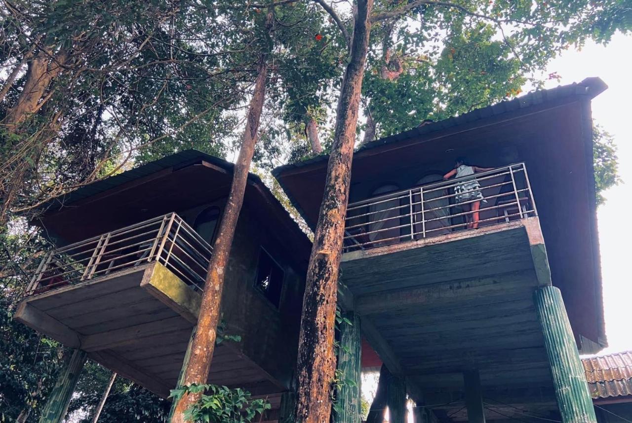 Khao Sok Jungle Huts Resort Khao Sok National Park Zewnętrze zdjęcie